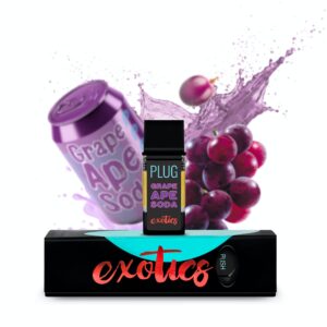 EXOTICS plug