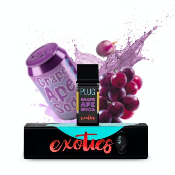 EXOTICS plug