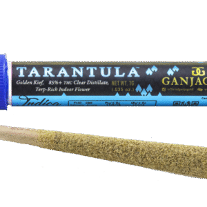 Blue Tarantula