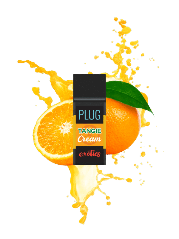 TANGIE CREAM